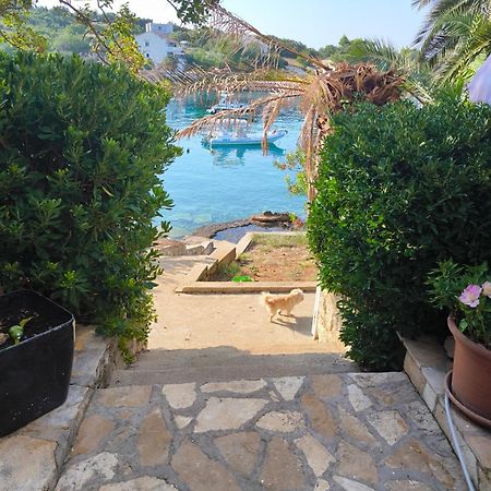Apartments Anica Beber Borovići エクステリア 写真