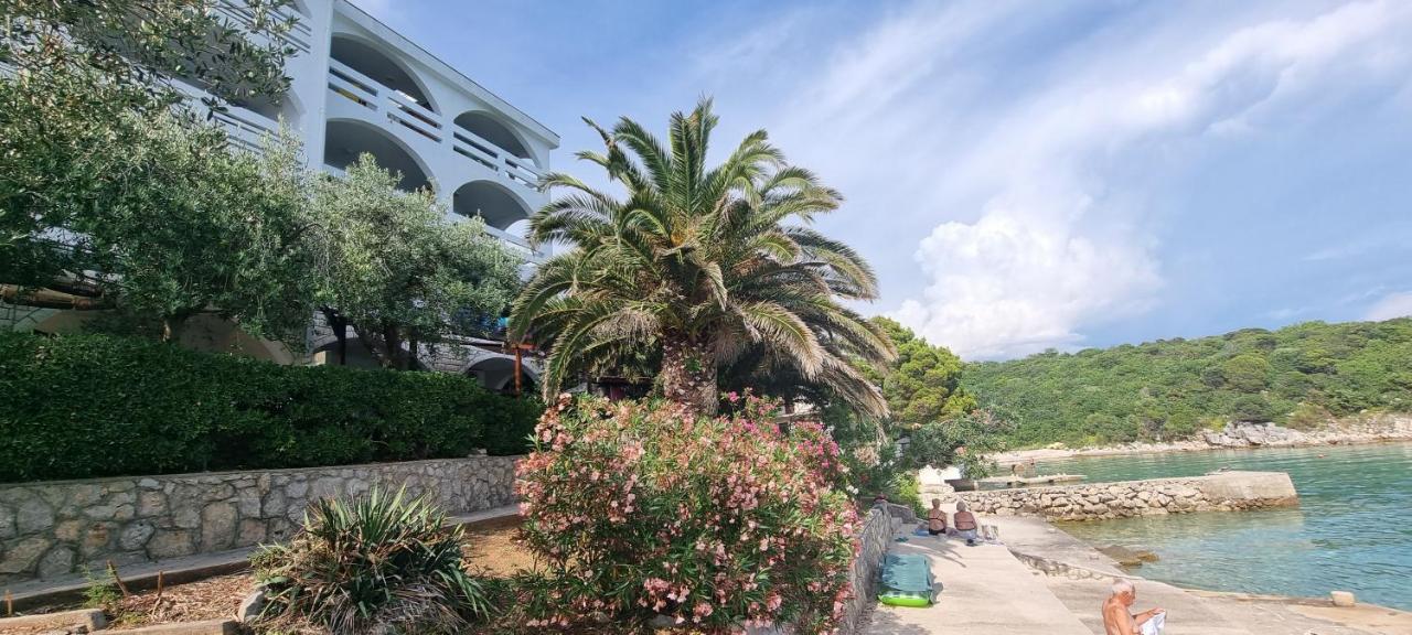 Apartments Anica Beber Borovići エクステリア 写真